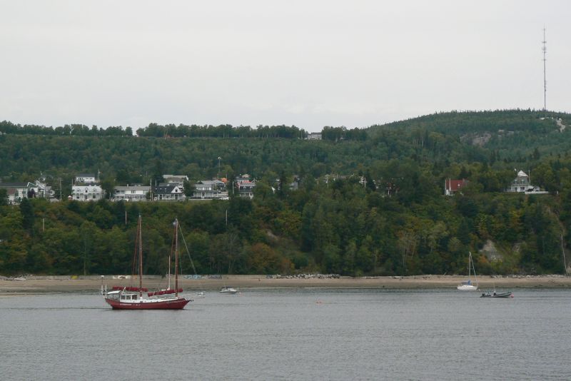 38 Balene a Tadoussac